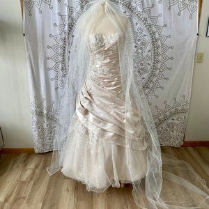 Wedding Dress or Ball Gown Size 8 in Champagne